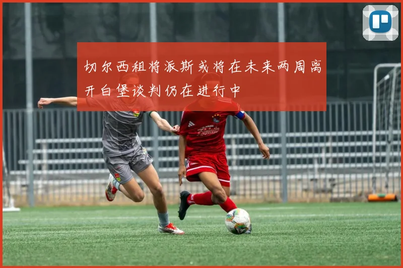 切尔西租将派斯或将在未来两周离开白堡谈判仍在进行中