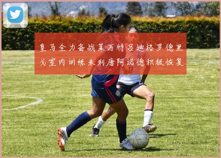 皇马全力备战莱万特吕迪格罗德里戈室内训练米利唐阿诺德积极恢复状态